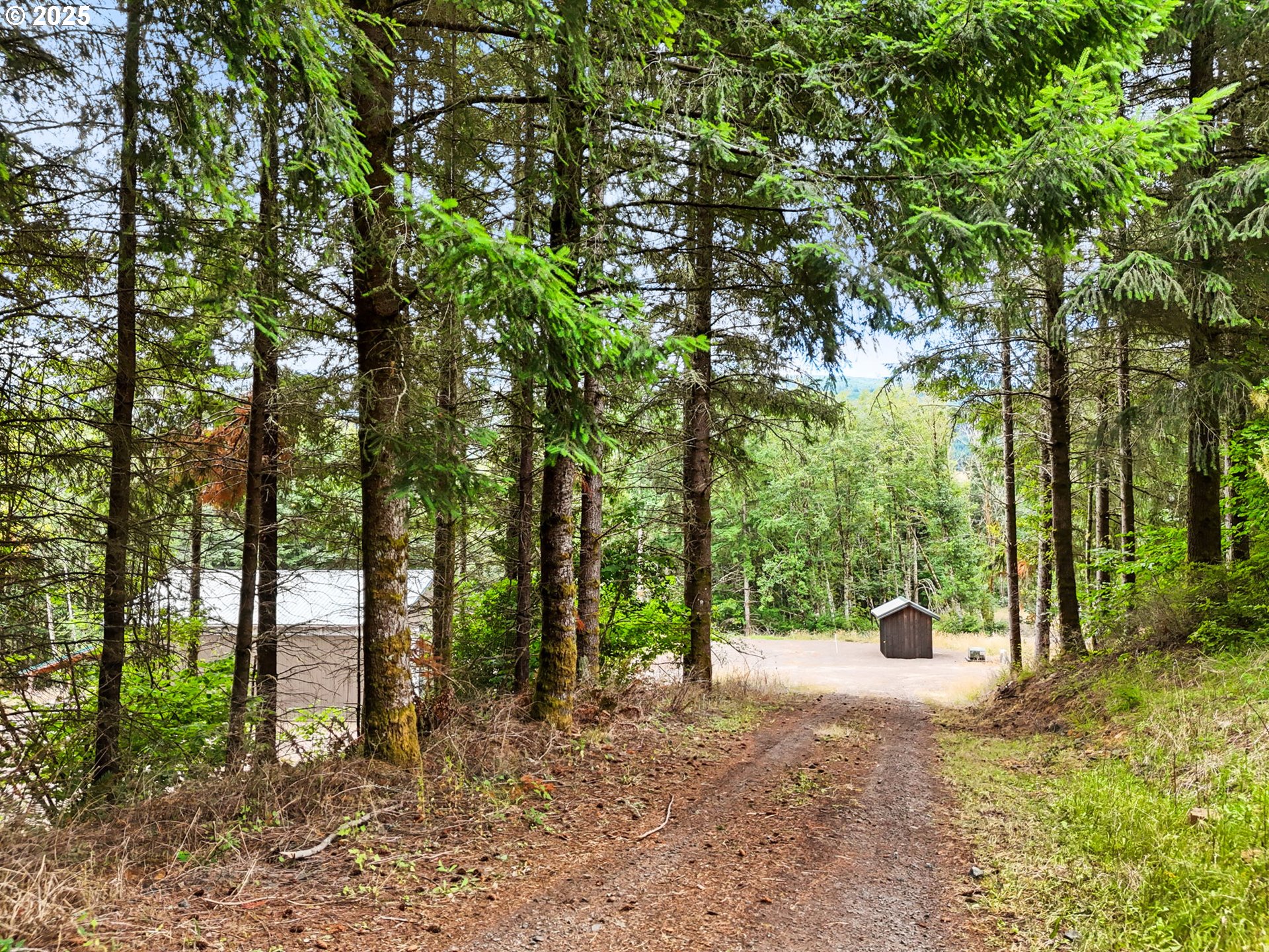 799 Mountain View Road Kalama, WA 98625 - Photo 10 of 37 Gallery Image 10
