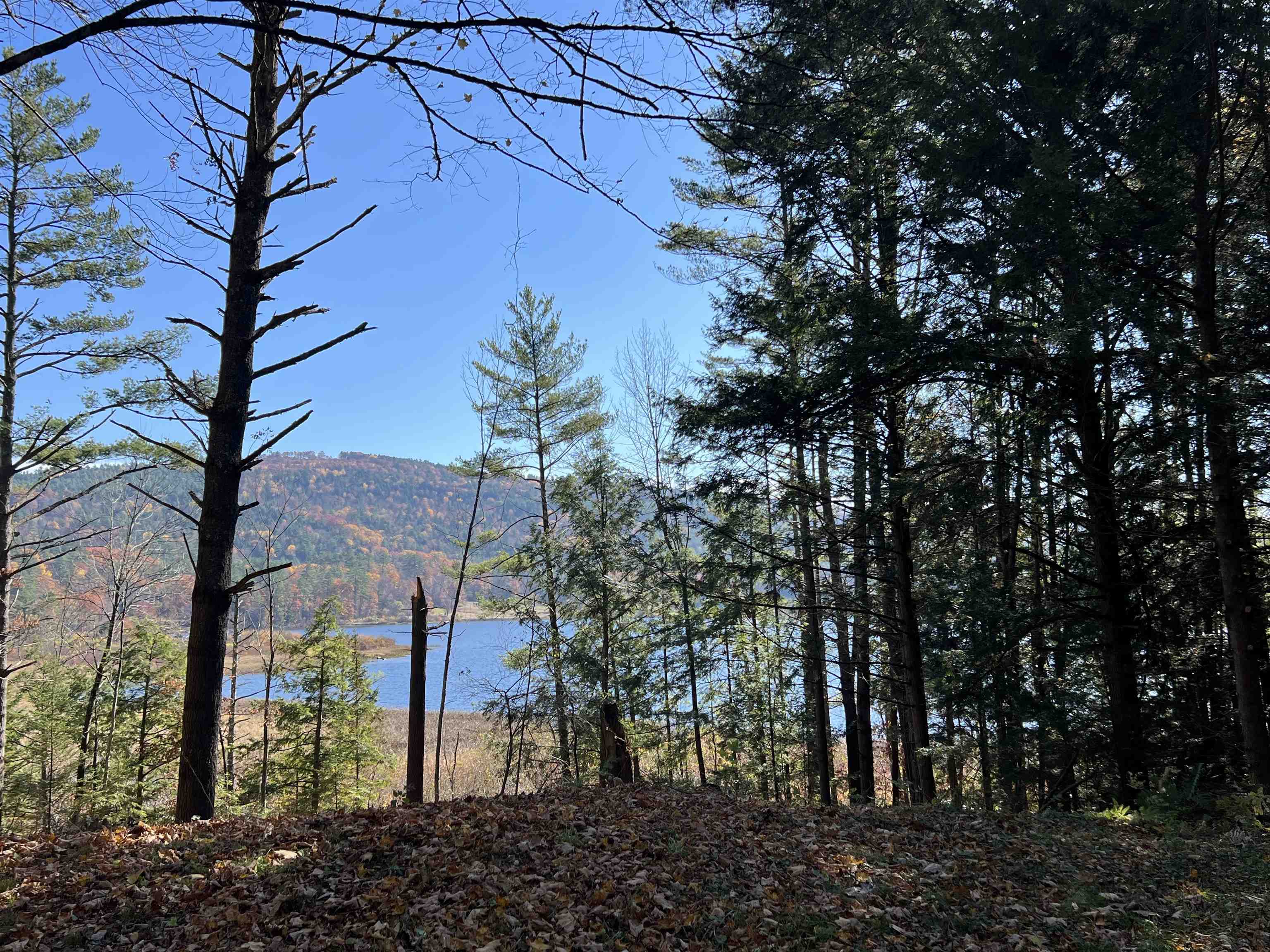 31 Post Pond Lane Lyme, NH 03768 - Photo 11 of 29