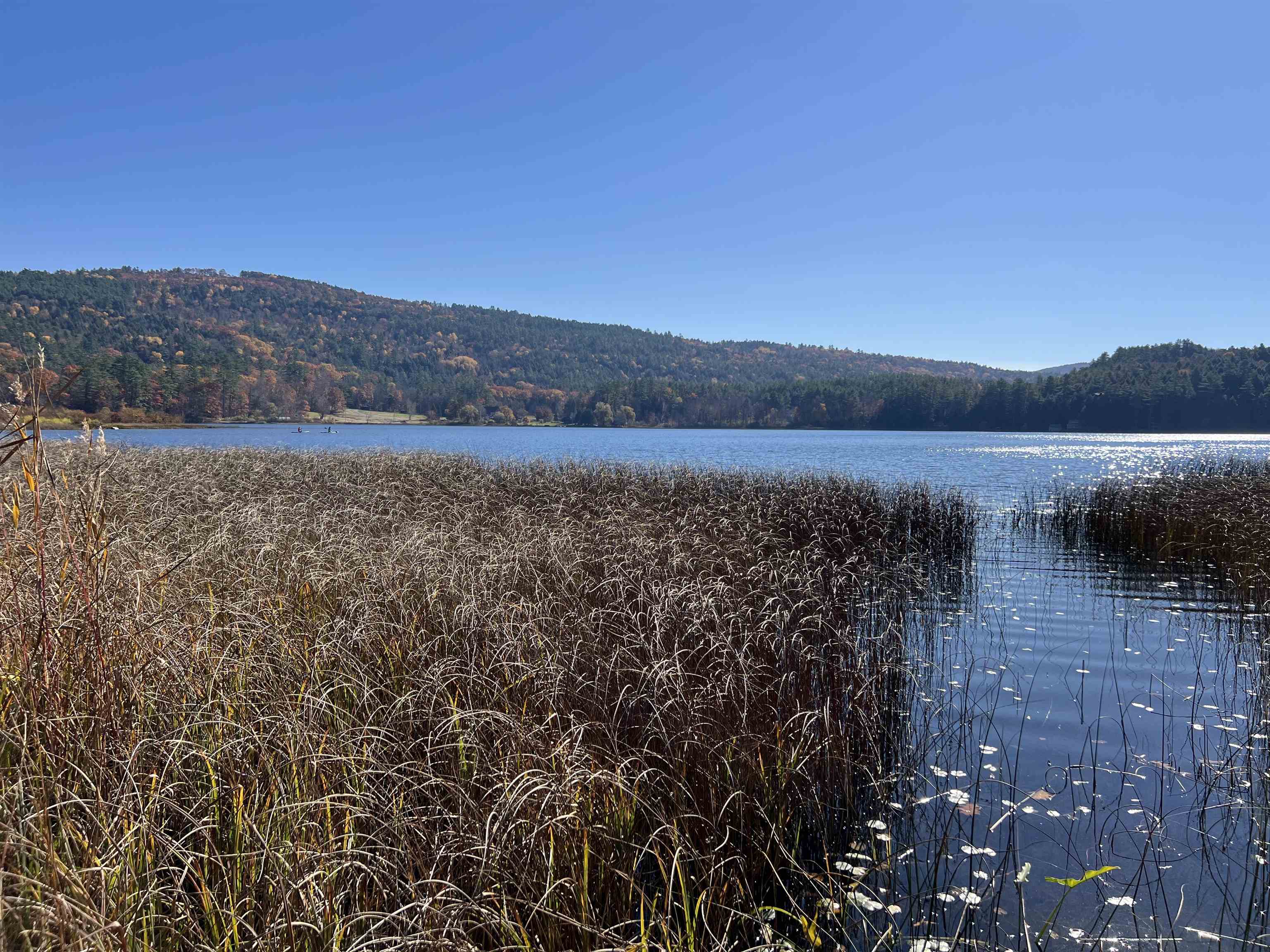 31 Post Pond Lane Lyme, NH 03768 - Photo 2 of 29