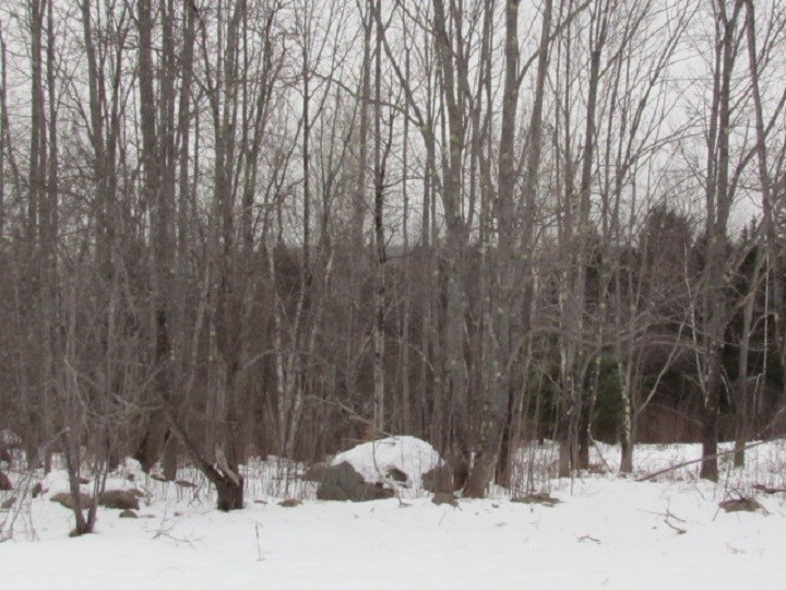 1443 Nh Rte 4a Enfield, NH 03748 - Photo 5 of 19 Gallery Image 5