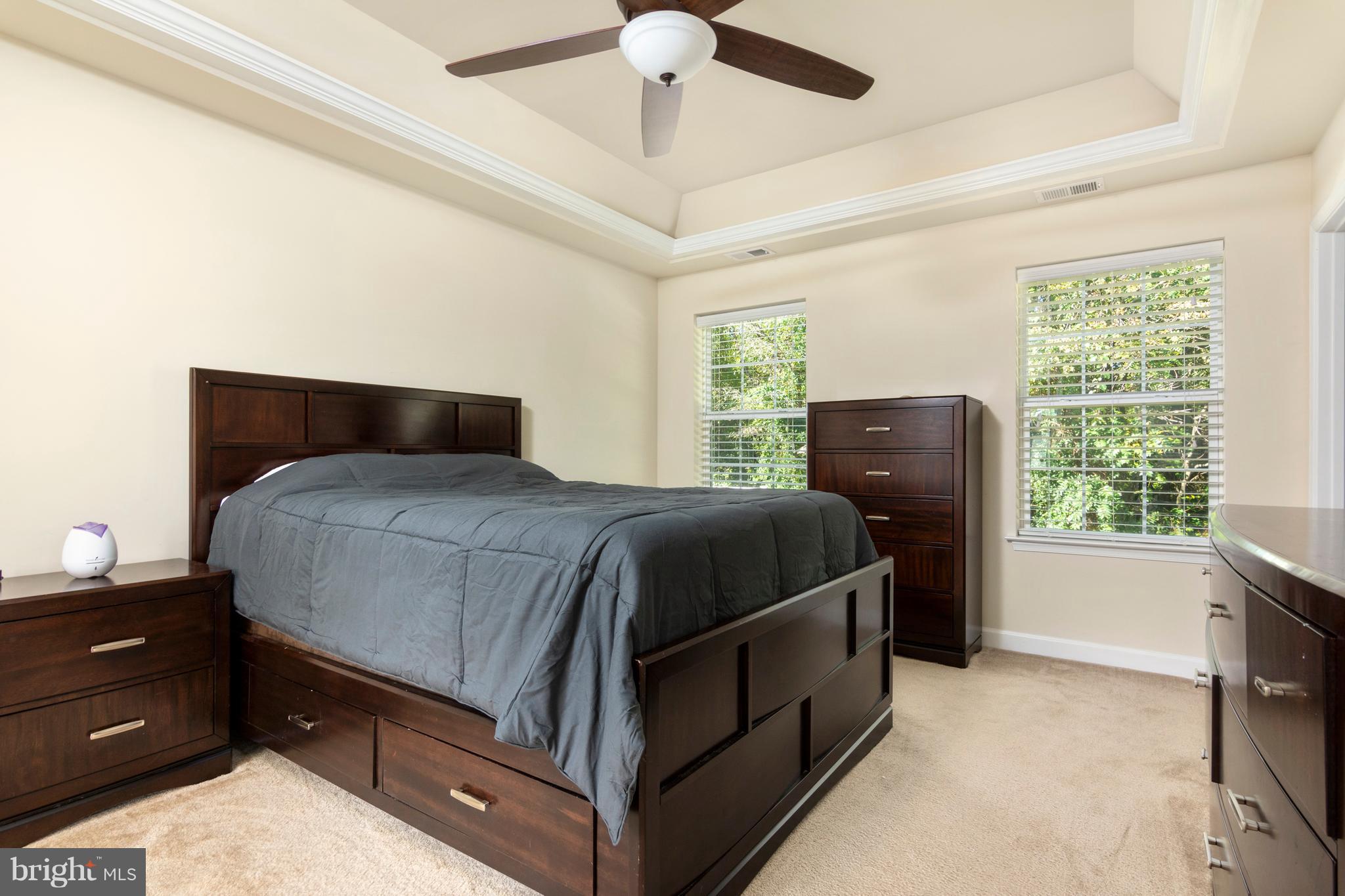 7918 New Freetown Road Pasadena, MD 21122 - Photo 13 of 25 Master Bedroom with Tray Ceiling