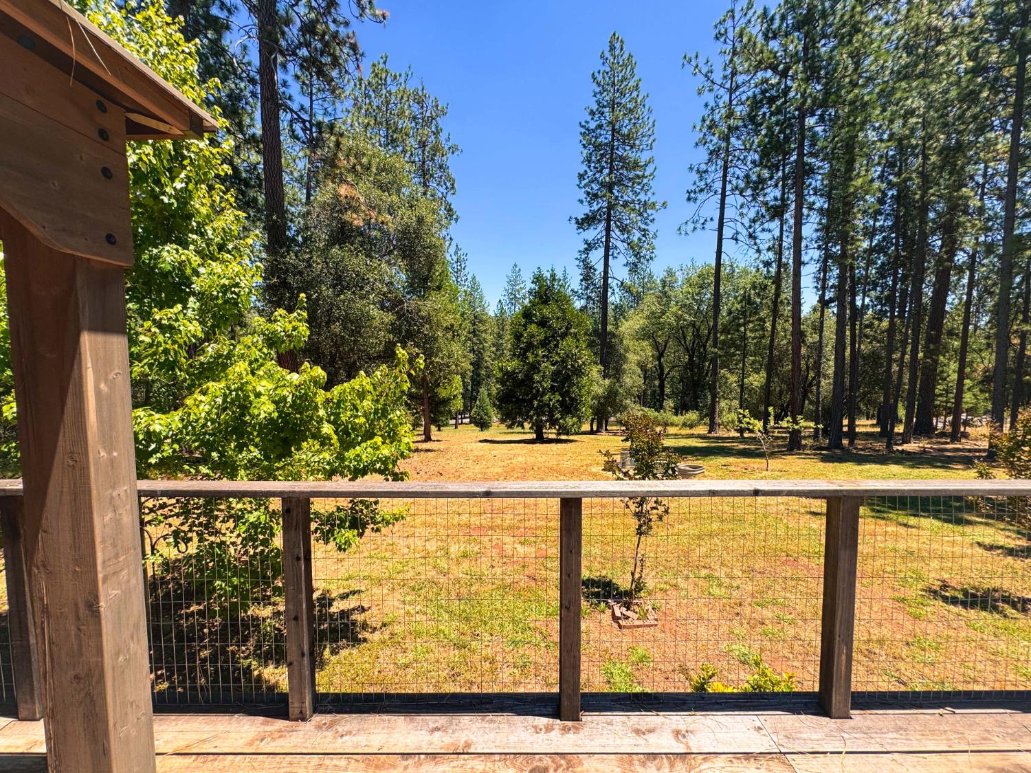 6425 Quartz Mine Road Mountain Ranch, CA 95246 - Photo 48 of 70