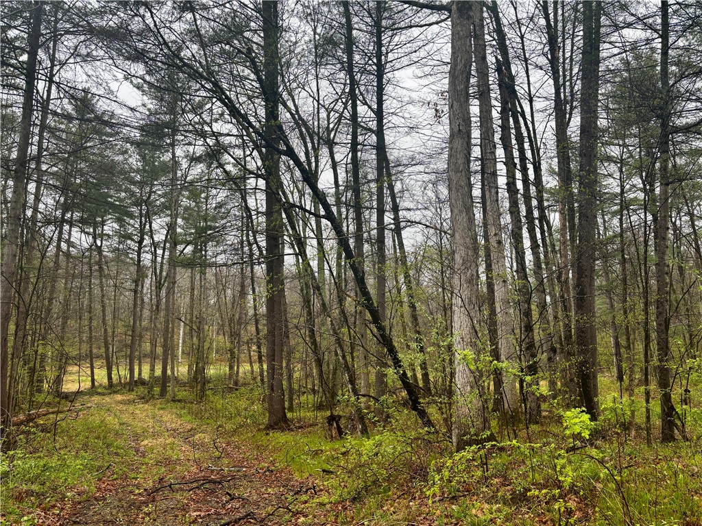 2093 Scott Road Erwin, NY 14858 - Photo 28 of 36 Gallery Image 28