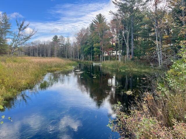 5683 Tyndal Road Branch, MI 49402 - Photo 108 of 119 IMG_7145