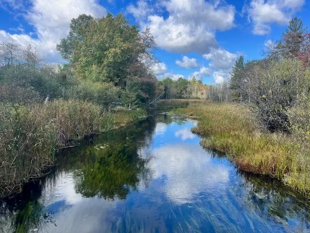 $599,000 | 5683 Tyndal Road, Branch, MI 49402