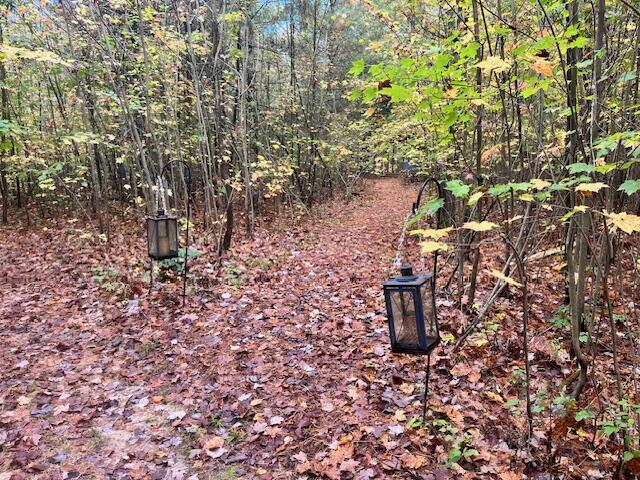 5683 Tyndal Road Branch, MI 49402 - Photo 110 of 119 IMG_7127