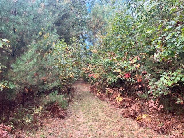 5683 Tyndal Road Branch, MI 49402 - Photo 111 of 119 IMG_7126