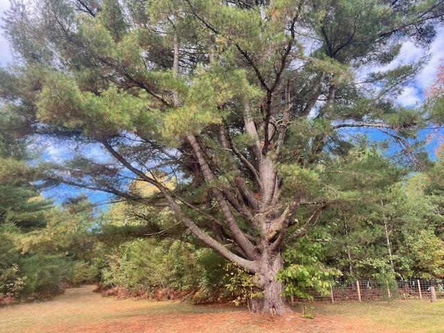 5683 Tyndal Road Branch, MI 49402 - Photo 114 of 119 IMG_7121