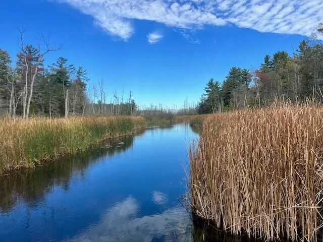 $599,000 | 5683 Tyndal Road, Branch, MI 49402