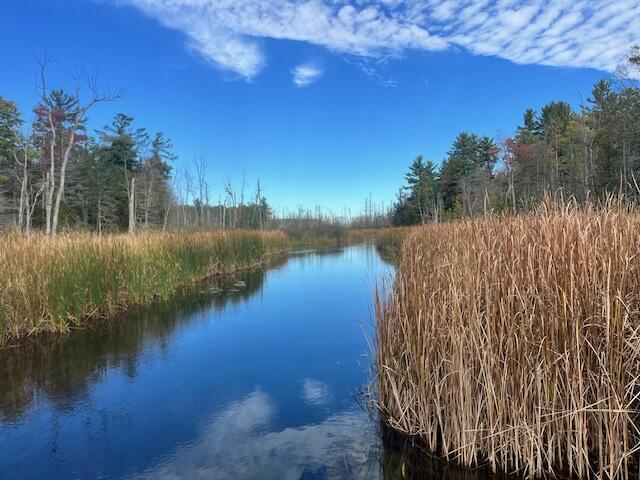 5683 Tyndal Road Branch, MI 49402 - Photo 40 of 119 IMG_7138