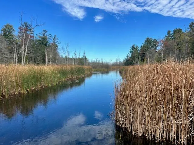 $599,000 | 5683 Tyndal Road, Branch, MI 49402