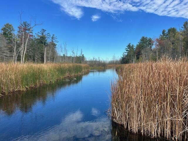 5683 Tyndal Road Branch, MI 49402 - Photo 41 of 119 IMG_7137