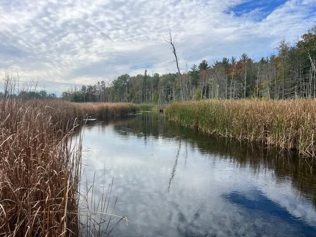 $599,000 | 5683 Tyndal Road, Branch, MI 49402