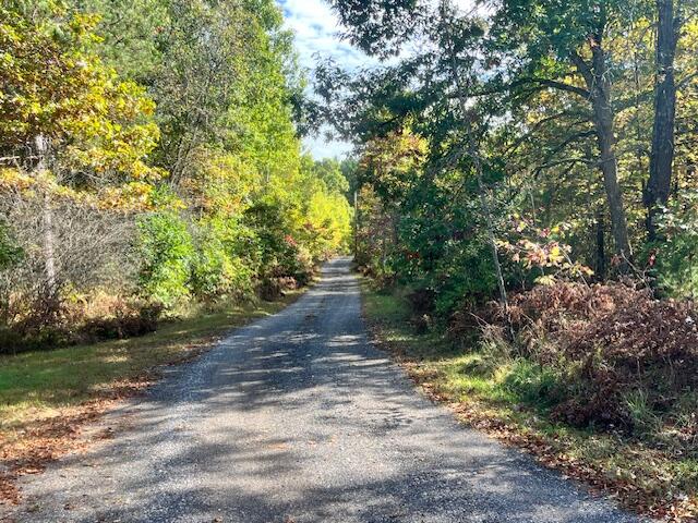 5683 Tyndal Road Branch, MI 49402 - Photo 10 of 119 IMG_7143