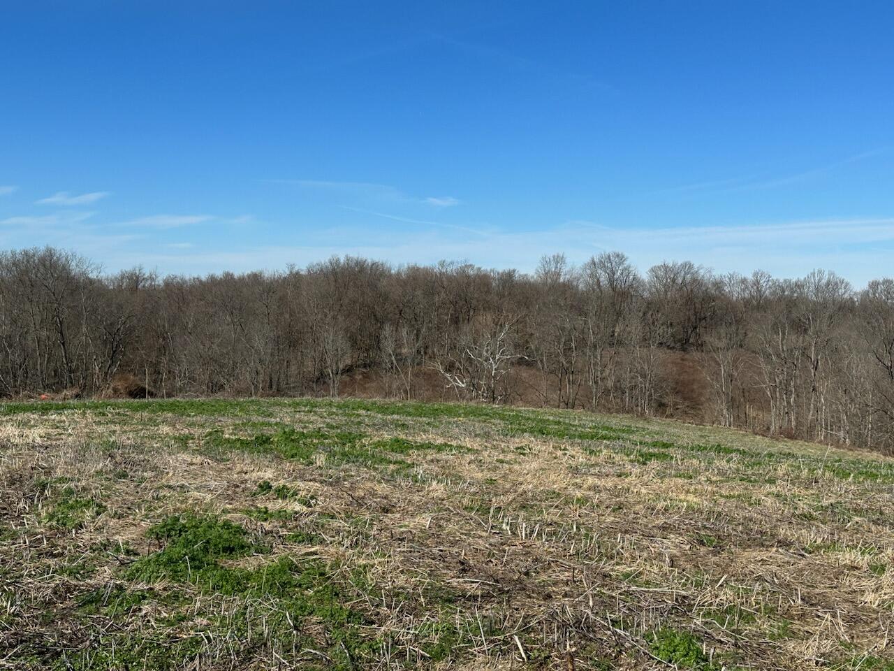 23 Upper Lick Road Moorefield, KY 40350 - Photo 4 of 7 23 Upperlick -6