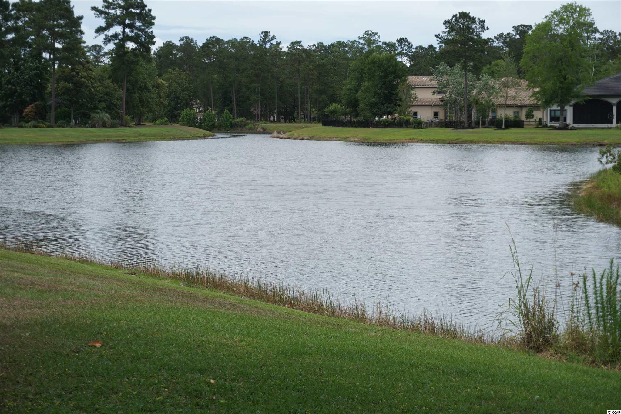 539 Chamberlin Road Myrtle Beach, SC 29588 - Photo 4 of 39 Gallery Image 4
