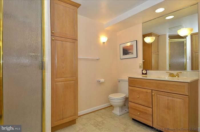 4103 Fogel Lane Silver Spring, MD 20906 - Photo 15 of 28 Bath (Master)