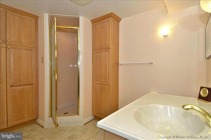 4103 Fogel Lane Silver Spring, MD 20906 - Photo 22 of 28 Bath (Master)
