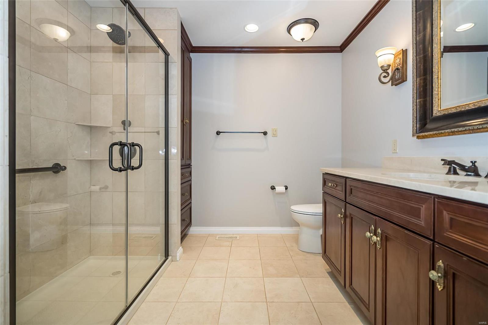 15707 Potter Ridge Drive Chesterfield, MO 63017 - Photo 24 of 42 Gallery Image 24