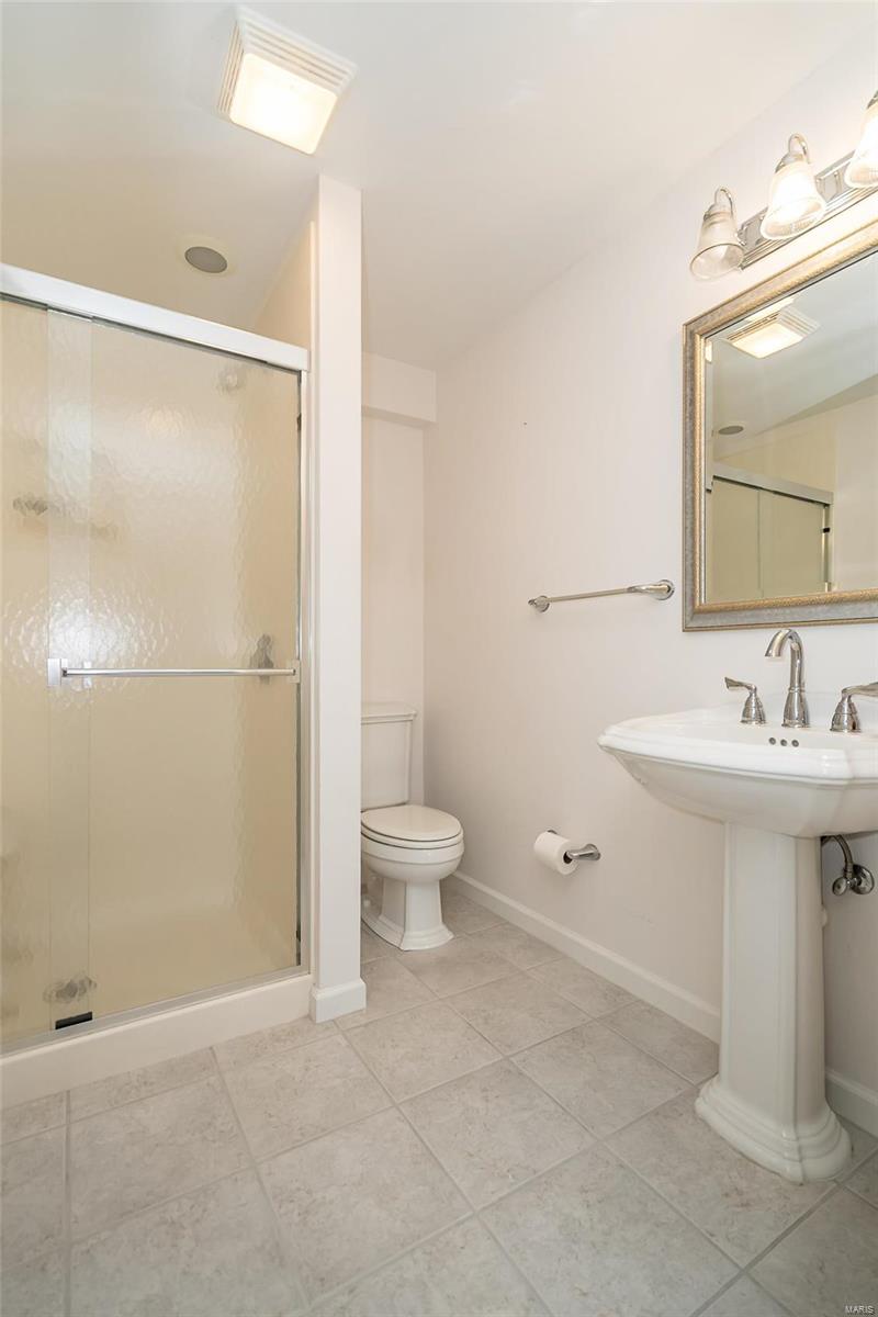 15707 Potter Ridge Drive Chesterfield, MO 63017 - Photo 38 of 42 Gallery Image 38
