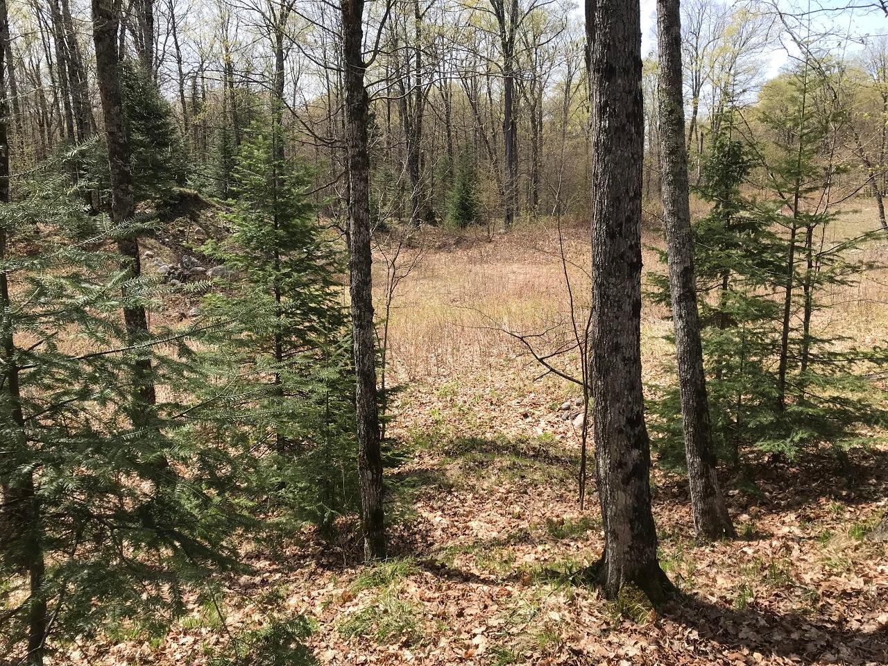 4890 Delich Road Mercer, WI 54547 - Photo 25 of 40 Gallery Image 25