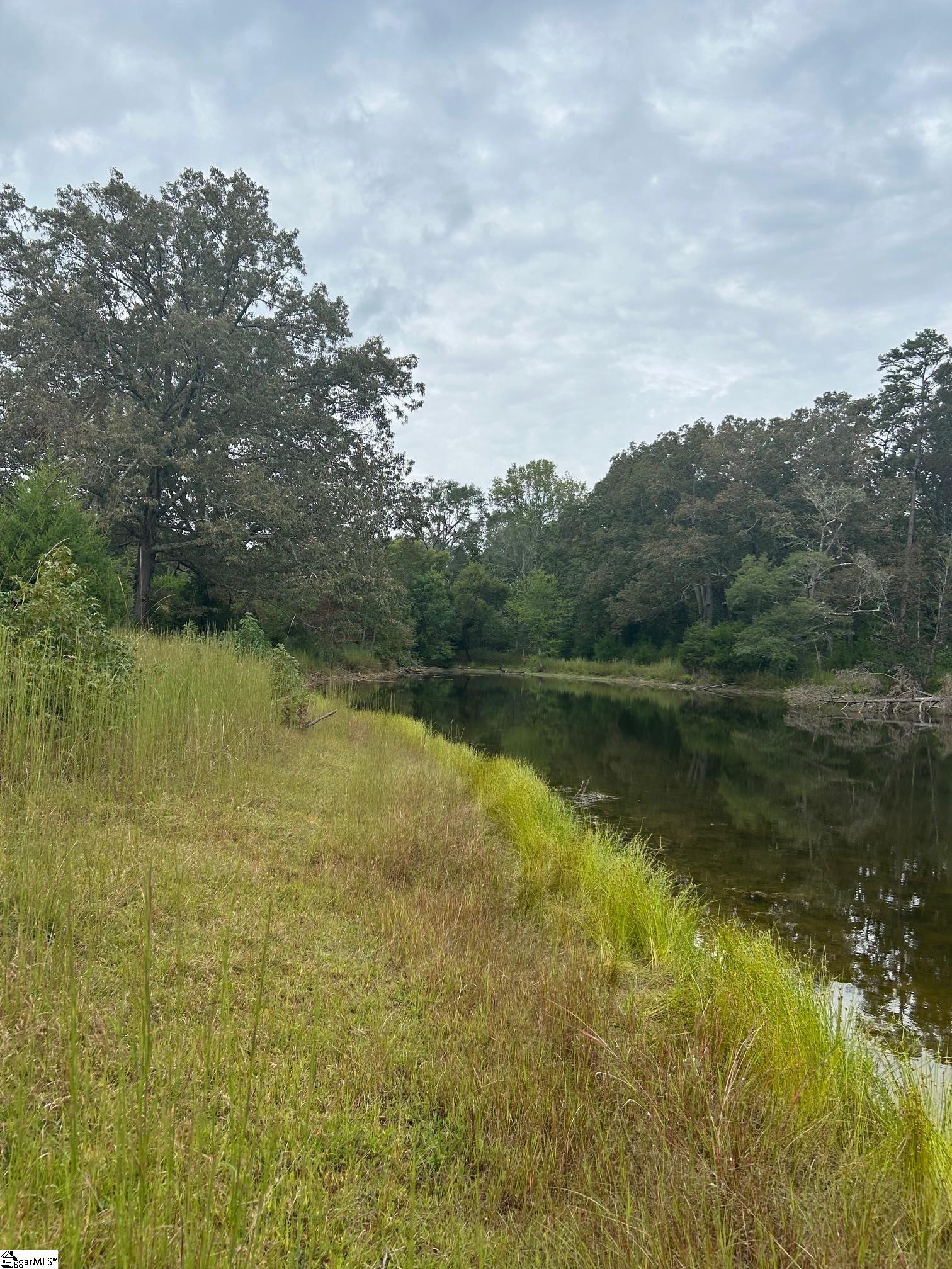 0 Georgia Road Gray Court, SC 29645 - Photo 2 of 9