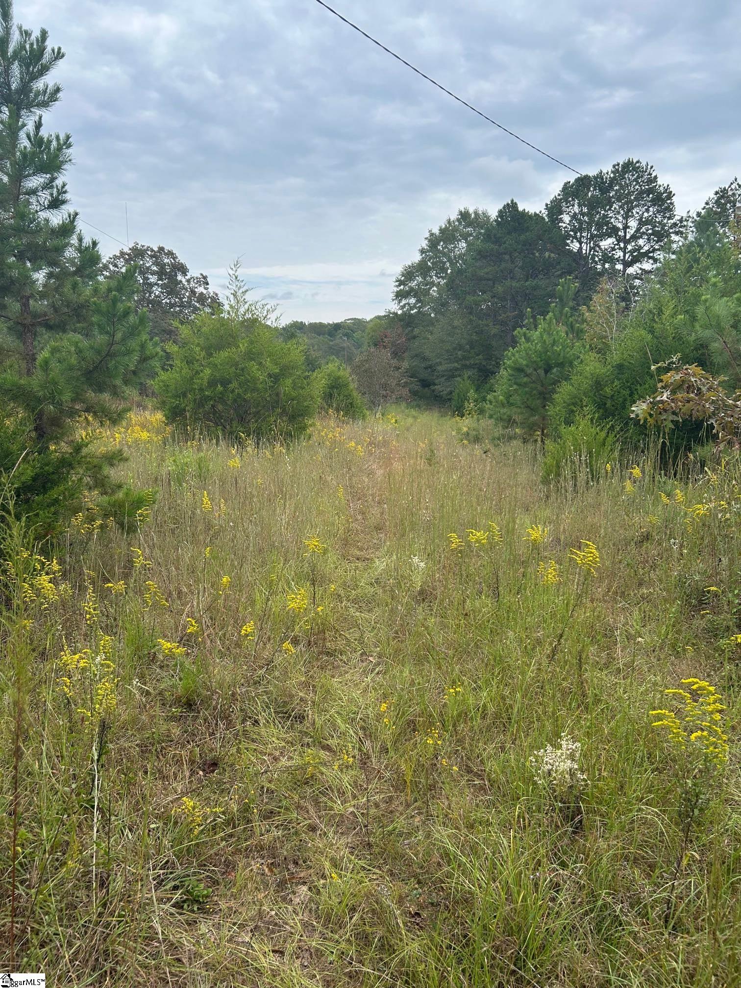 0 Georgia Road Gray Court, SC 29645 - Photo 5 of 9