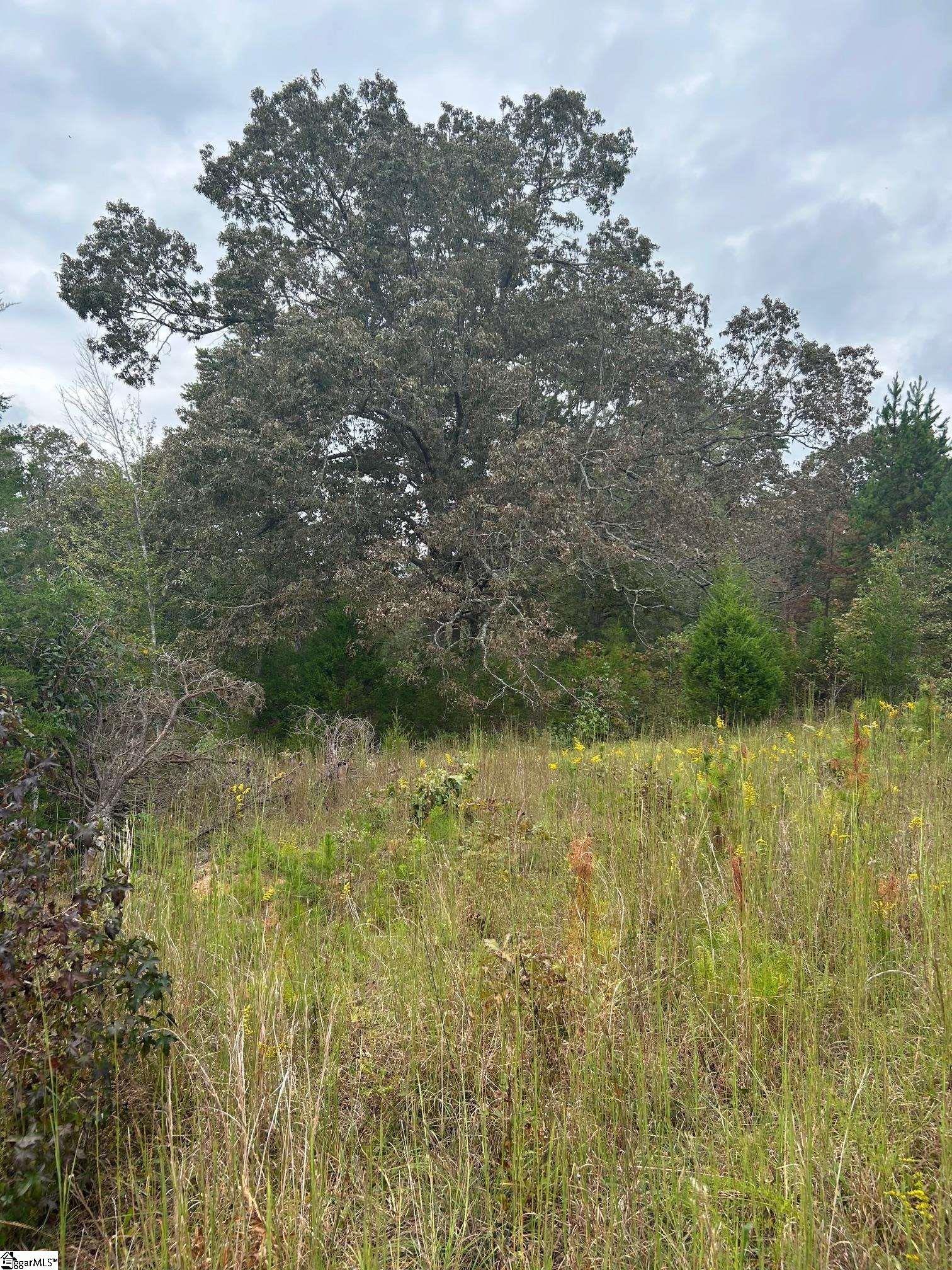 0 Georgia Road Gray Court, SC 29645 - Photo 8 of 9