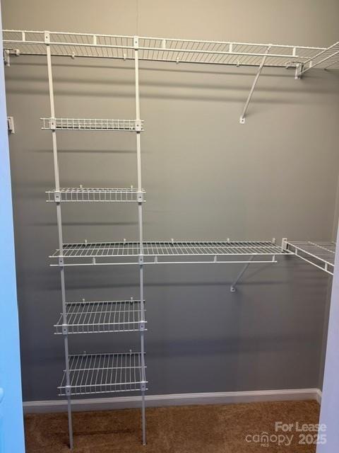 405 15th Avenue Southwest Hickory, NC 28602 - Photo 11 of 11 a view of a walk in closet