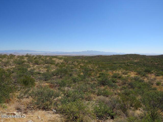 36 Acres Douglas Az 85607 Douglas, AZ 85607 - Photo 29 of 29