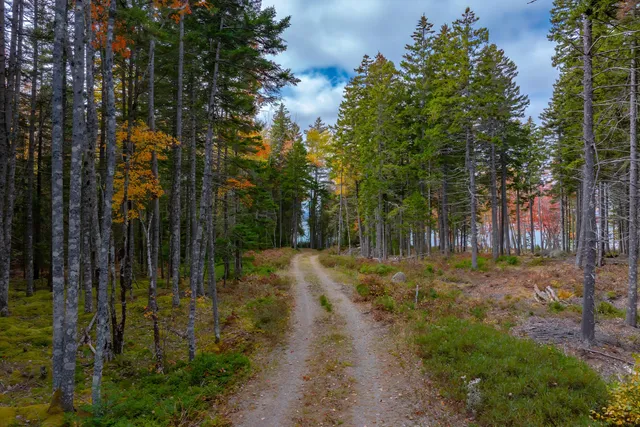 $249,000 | 272 Estates Road, Steuben, ME 04680