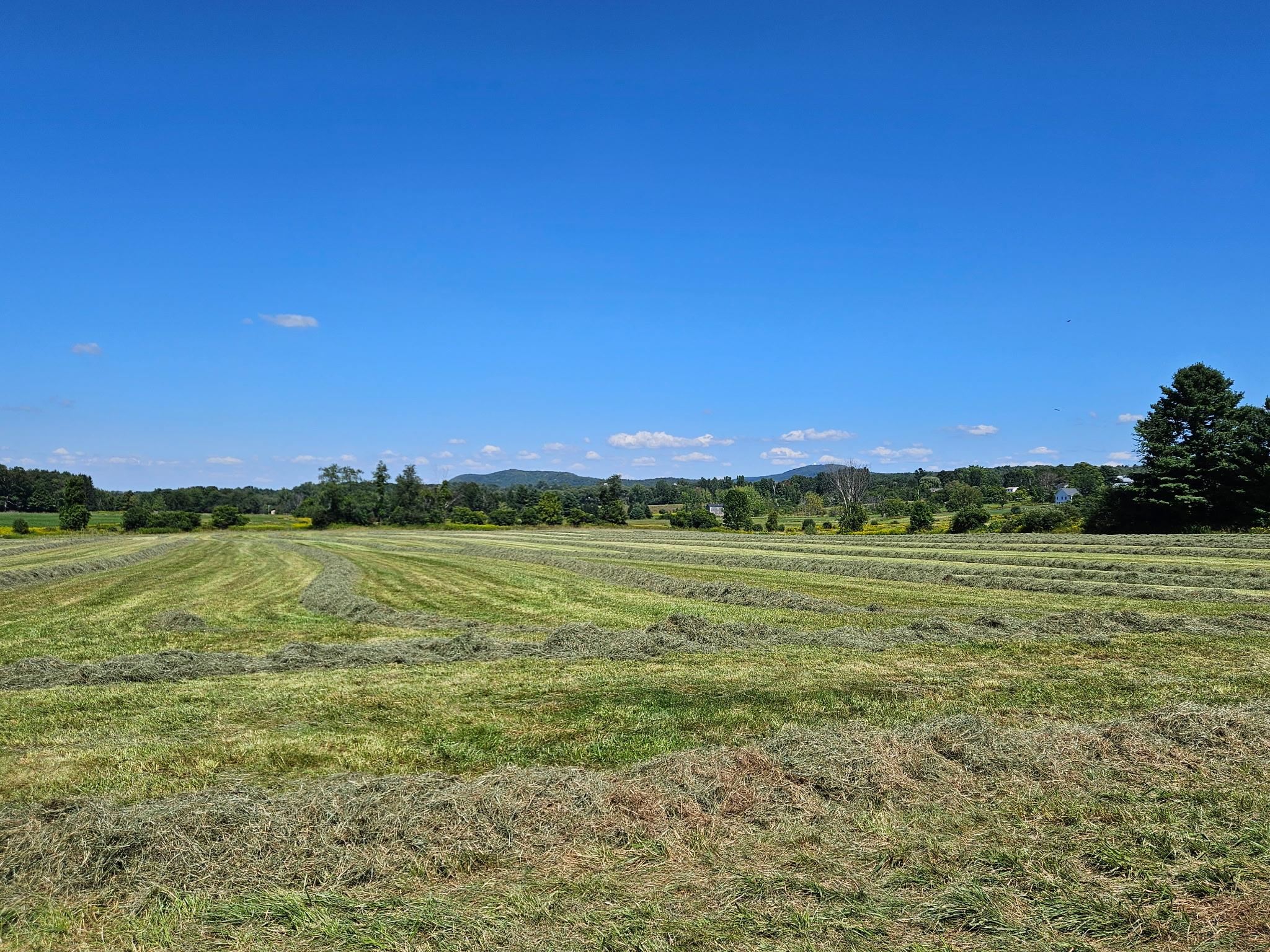 Lot 2 Plains Road St. Albans, VT 05478 - Photo 12 of 19