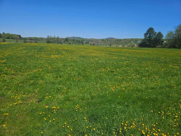 $425,000 | Lot 2 Plains Road, St. Albans, VT 05478