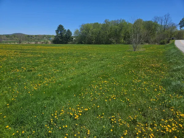 $425,000 | Lot 2 Plains Road, St. Albans, VT 05478
