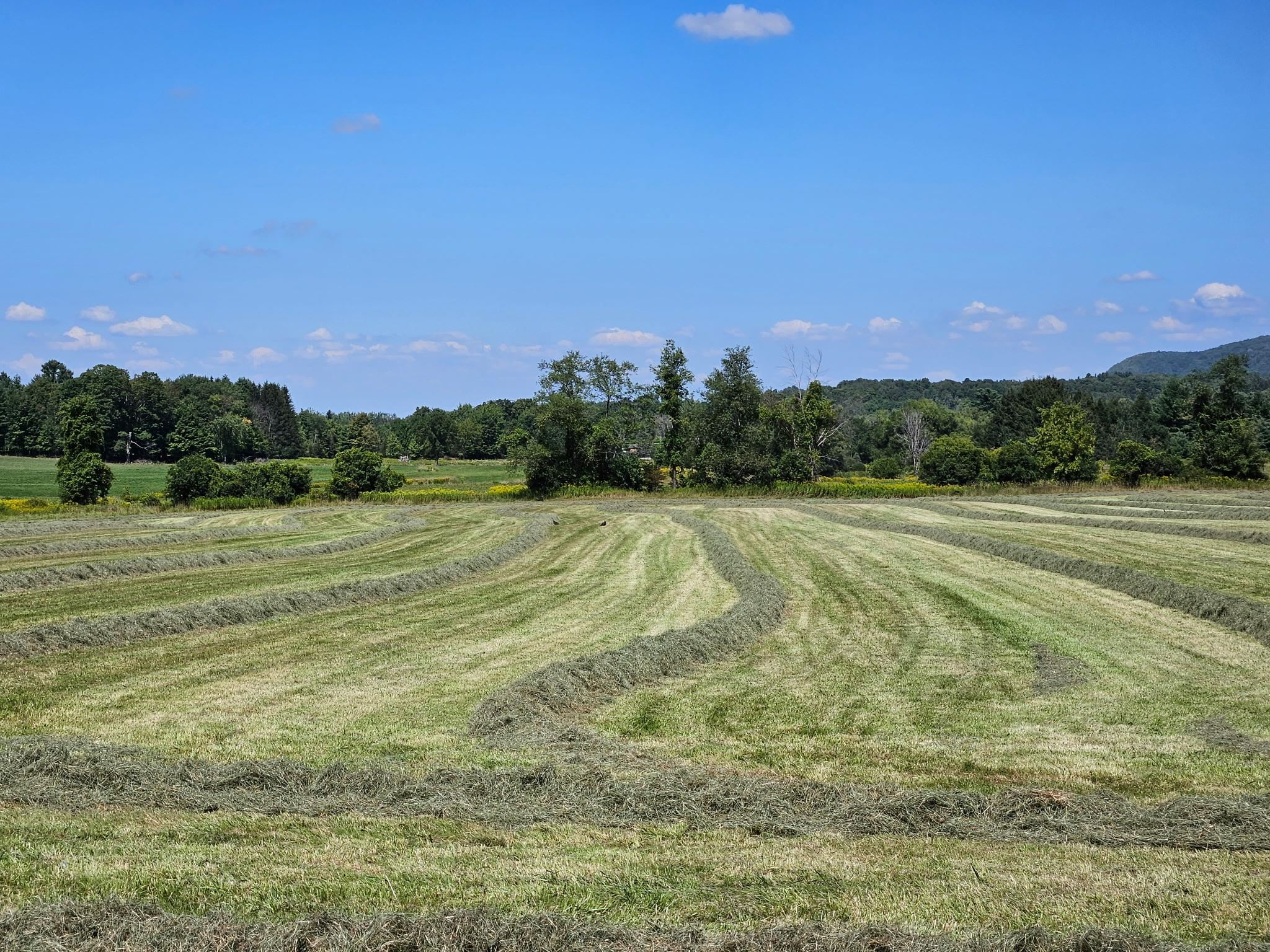 Lot 2 Plains Road St. Albans, VT 05478 - Photo 15 of 19