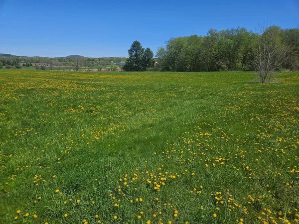$425,000 | Lot 2 Plains Road, St. Albans, VT 05478