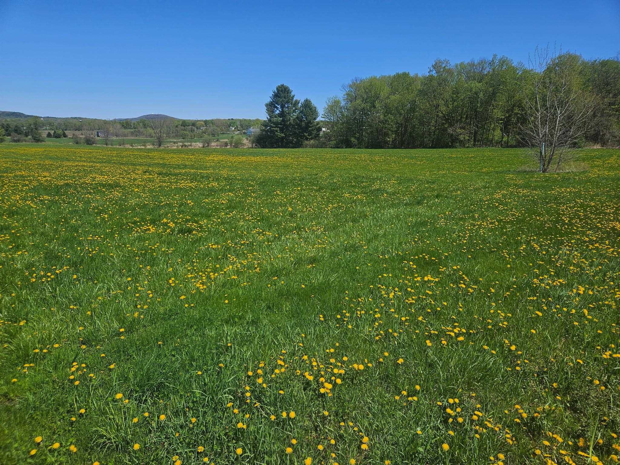 Lot 2 Plains Road St. Albans, VT 05478 - Photo 16 of 19