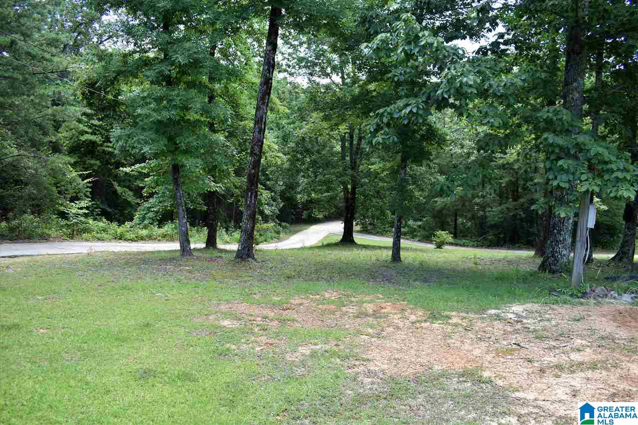 8760 Pine Mountain Road Pinson, AL 35126 - Photo 29 of 42