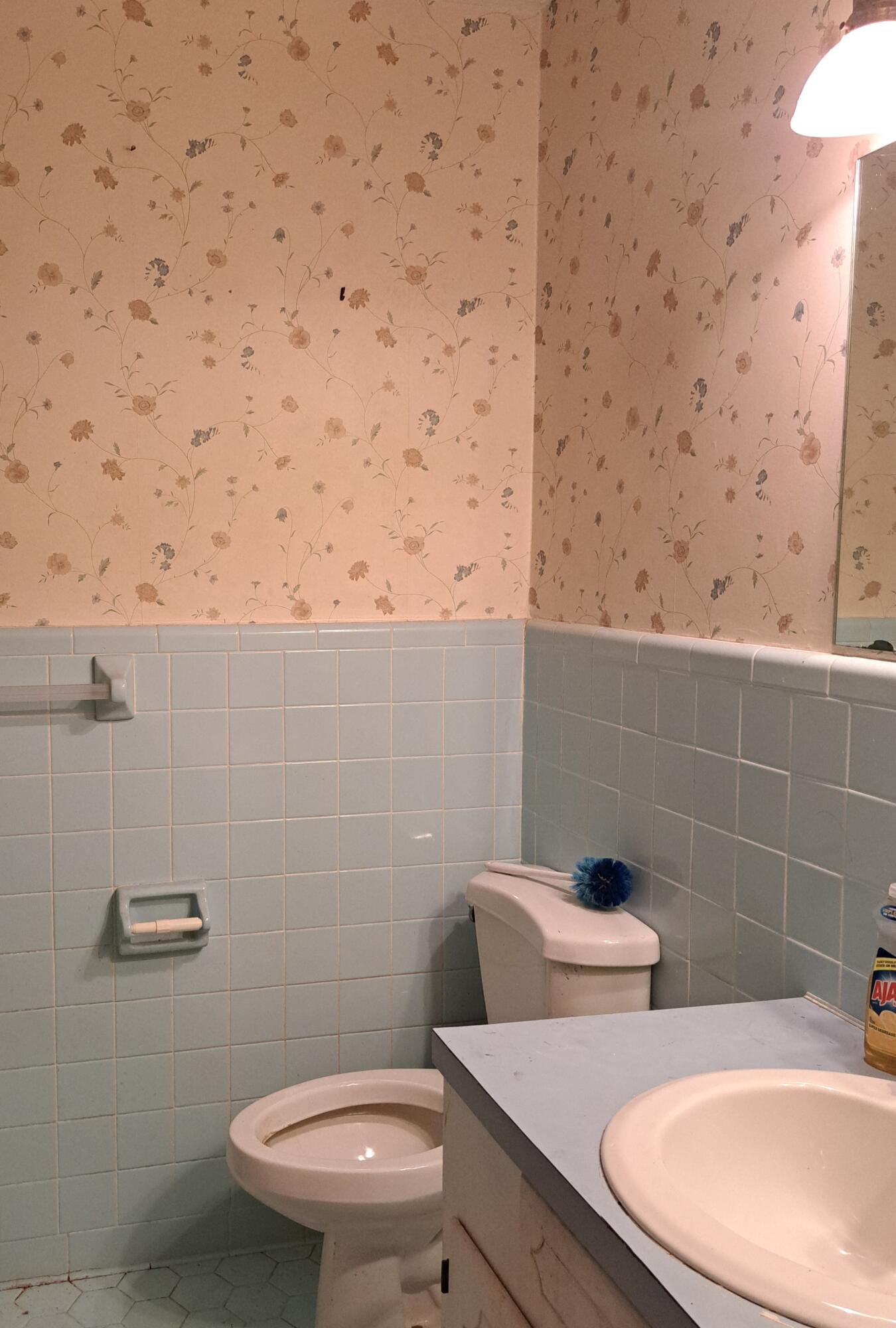 279 Circle Drive Denmark, SC 29042 - Photo 10 of 11 20250711_151024