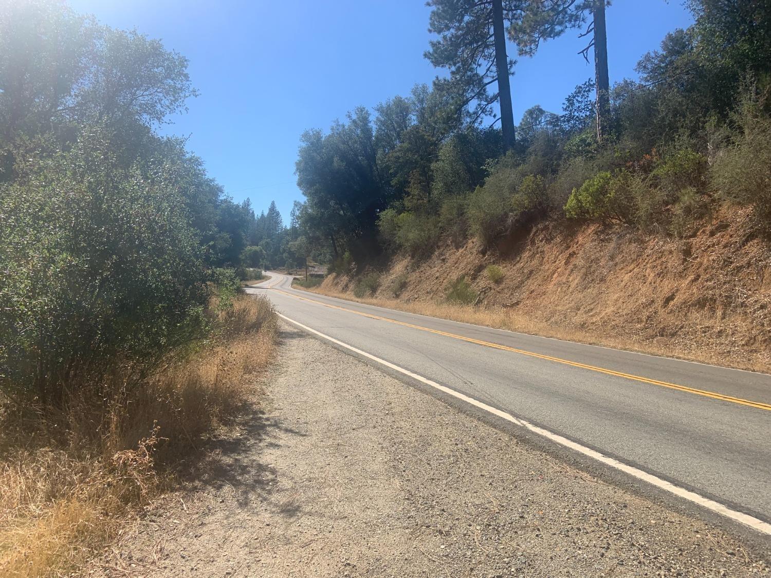 14317 Tyler Foote Road Nevada City, CA 95959 - Photo 11 of 17 a view of a yard with large trees