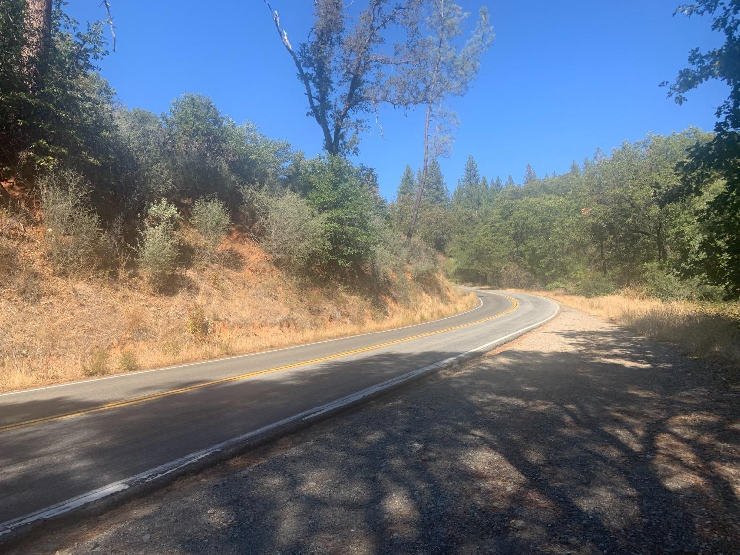 14317 Tyler Foote Road Nevada City, CA 95959 - Photo 16 of 17 a view of a yard with an trees