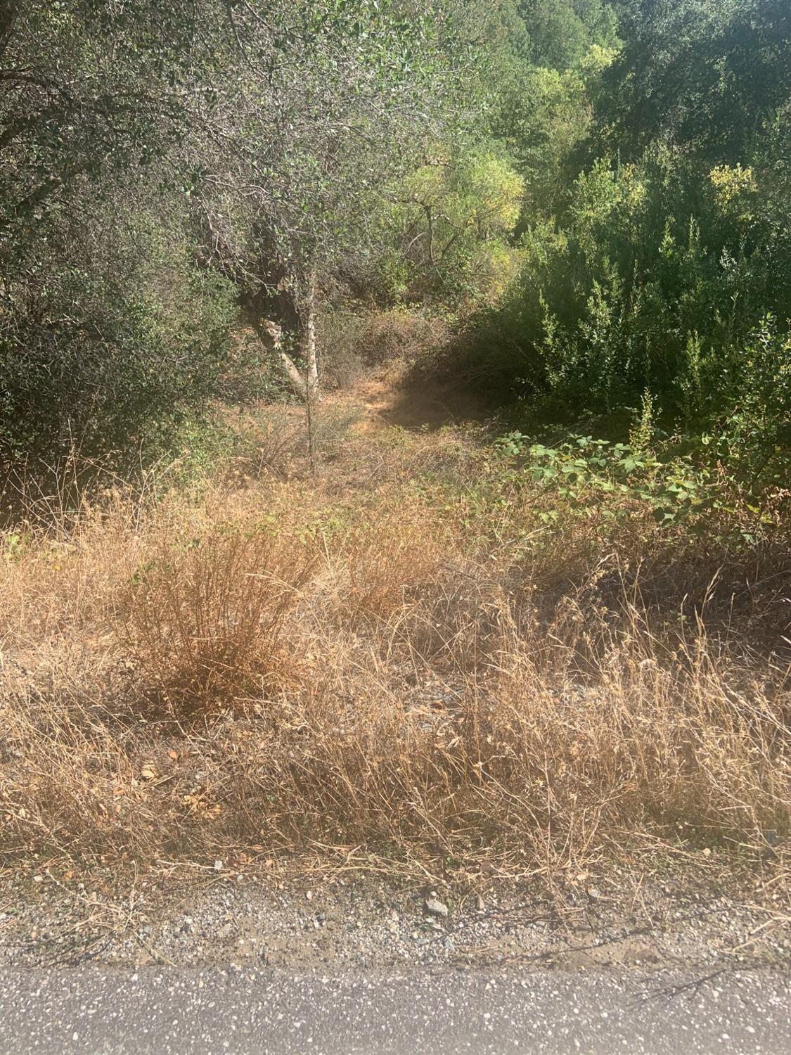 14317 Tyler Foote Road Nevada City, CA 95959 - Photo 17 of 17 a view of outdoor space and a yard