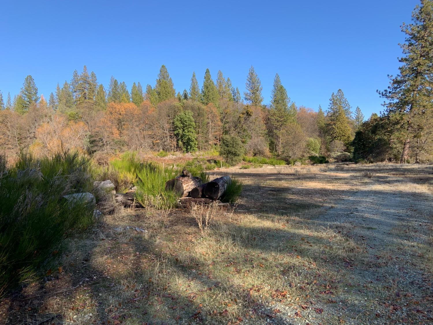 14317 Tyler Foote Road Nevada City, CA 95959 - Photo 3 of 17 a view of a town with trees around