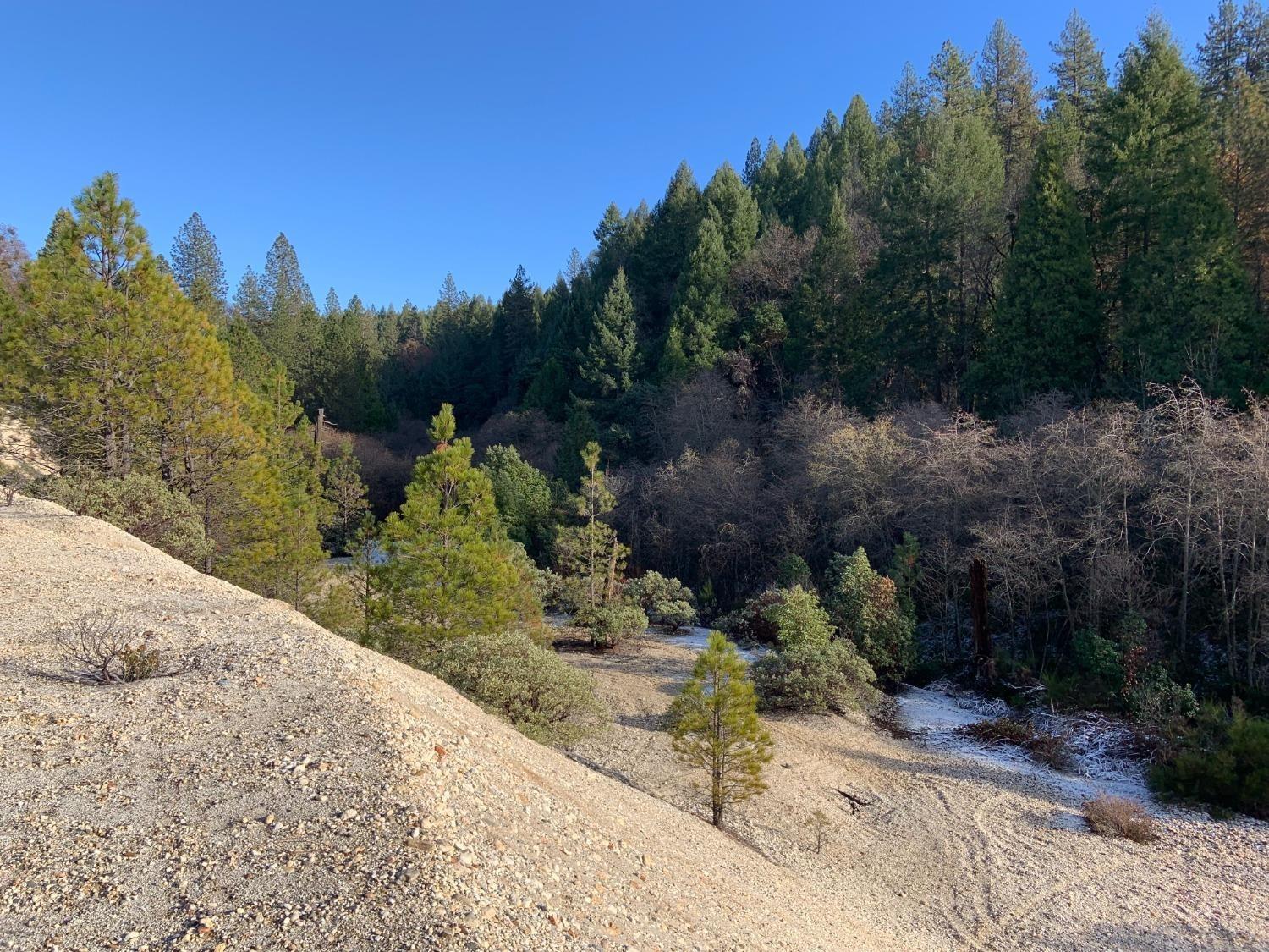 14317 Tyler Foote Road Nevada City, CA 95959 - Photo 4 of 17 a view of a yard with plants and a bench