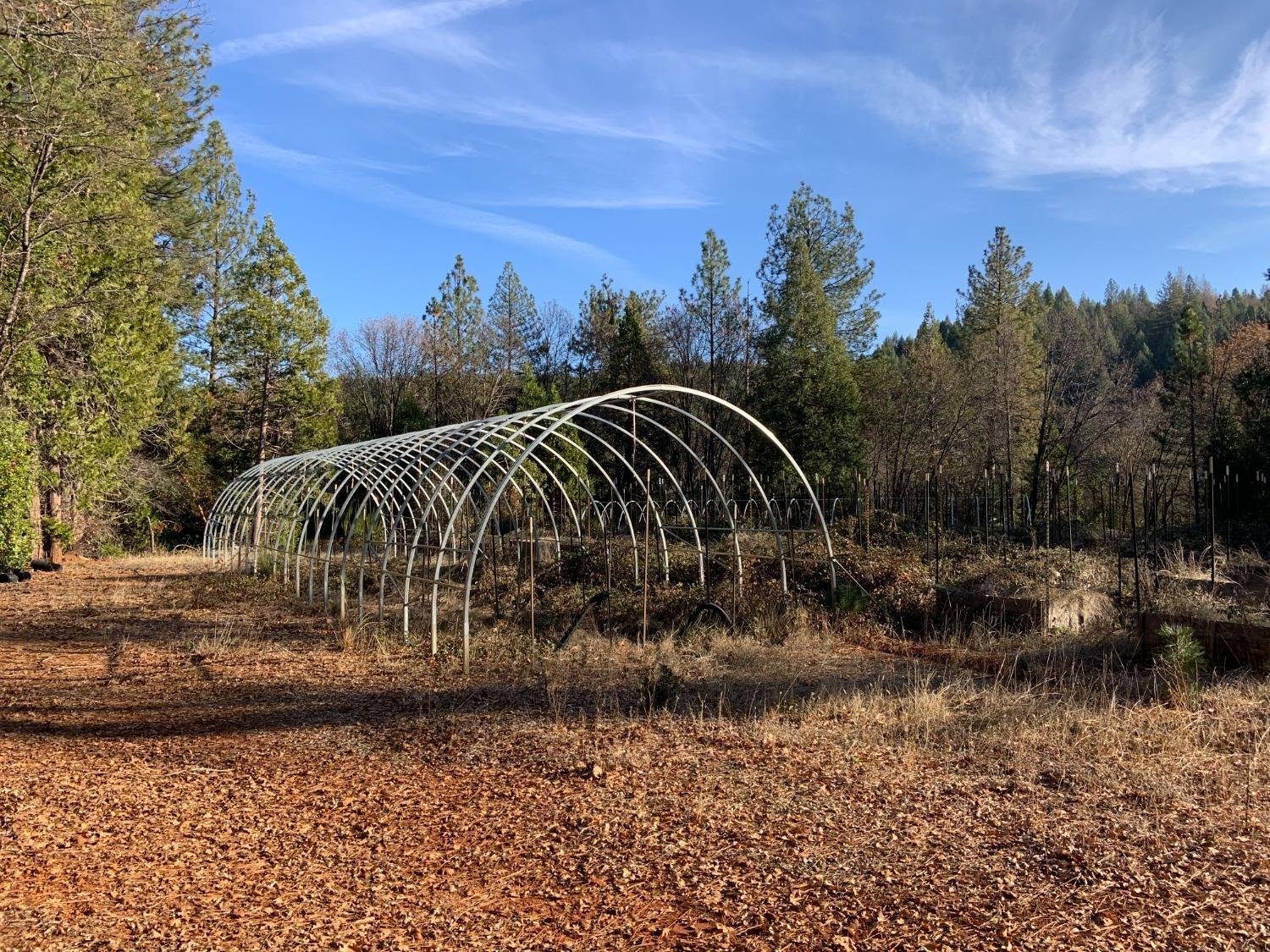 14317 Tyler Foote Road Nevada City, CA 95959 - Photo 7 of 17 a view of a yard in front of a house