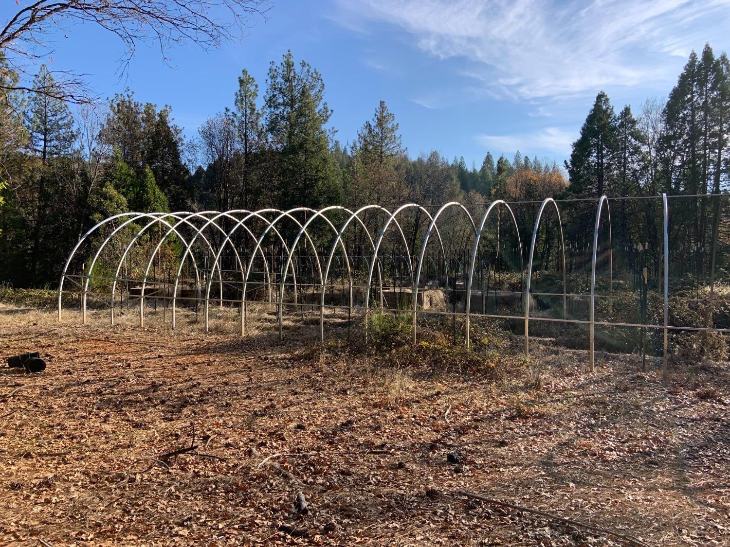 14317 Tyler Foote Road Nevada City, CA 95959 - Photo 8 of 17 a view of a backyard