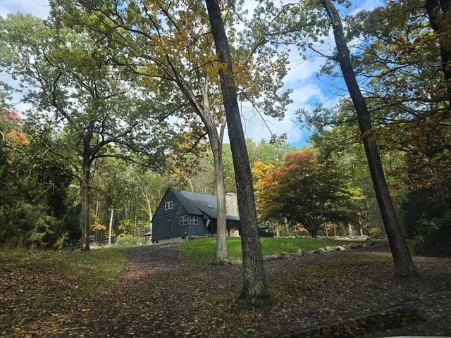 a view of a big yard with plants and large trees