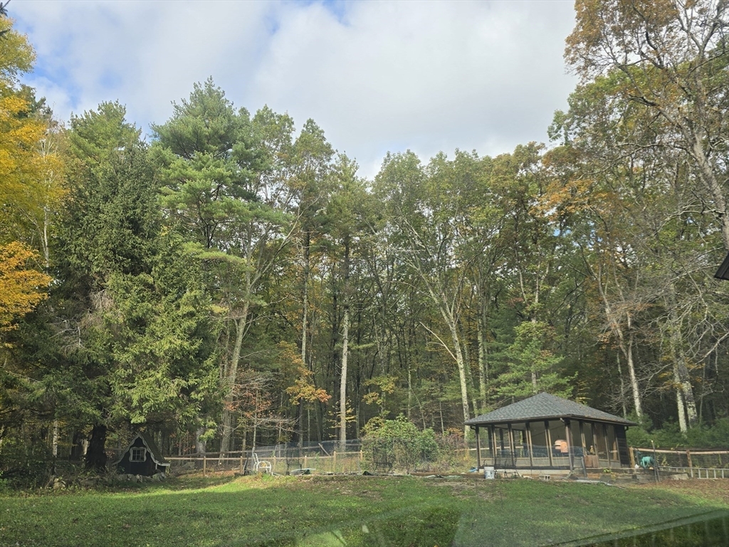 143 Hudson Road Stow, MA 01775 - Photo 39 of 42 a view of a big yard with plants and large trees