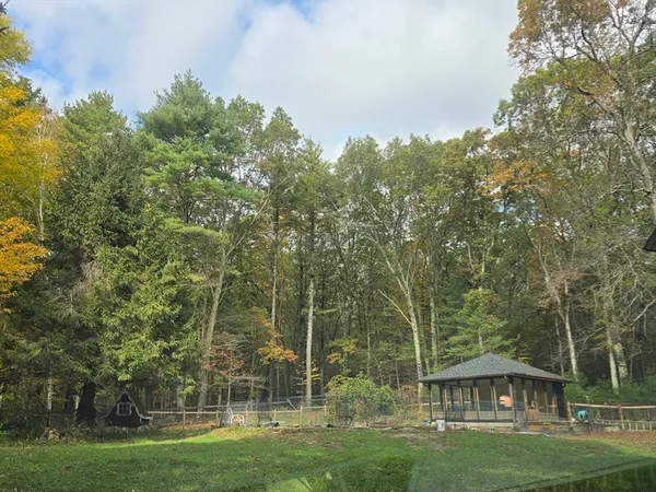 a view of a big yard with plants and large trees