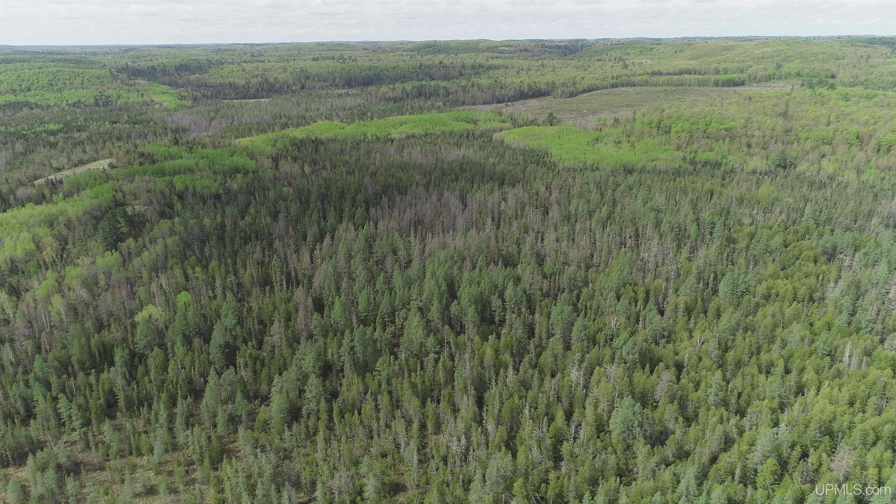 280-acres County Road CCN Road Negaunee, MI 49866 - Photo 36 of 48